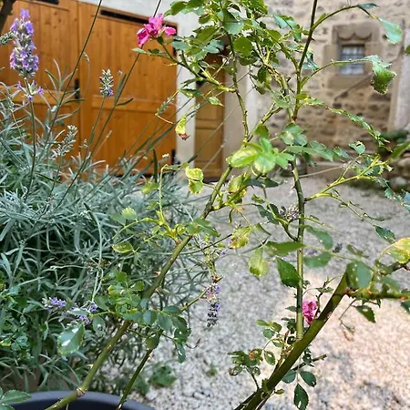 Apartament Clos La Vigne *